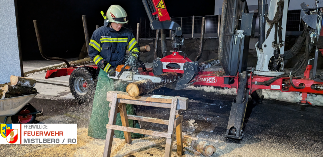 Einsatzübung Forstunfall